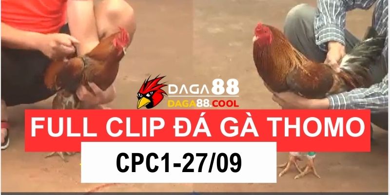 Full Clip Đá Gà CPC1 Thomo Campuchia 27 09 2024