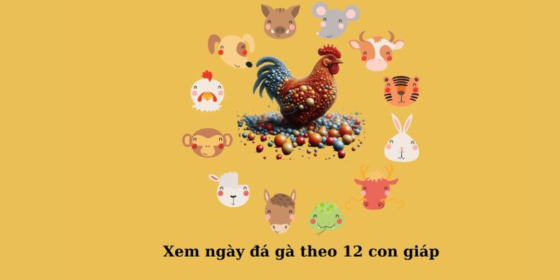 Cách coi ngày đá gà theo con giáp