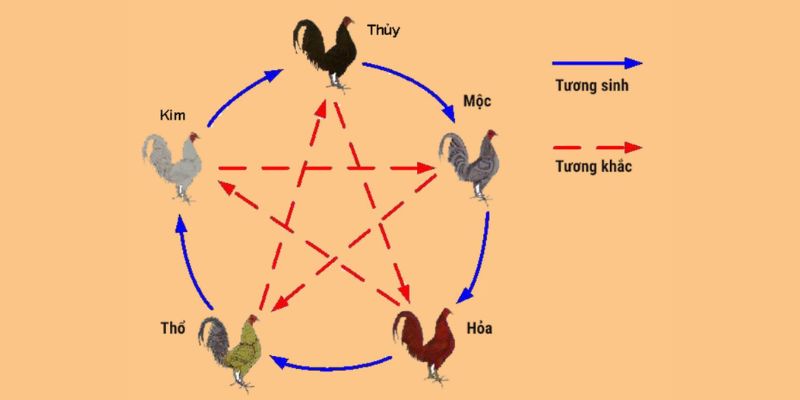 Chi tiết cách coi ngày đá gà theo ngũ hành