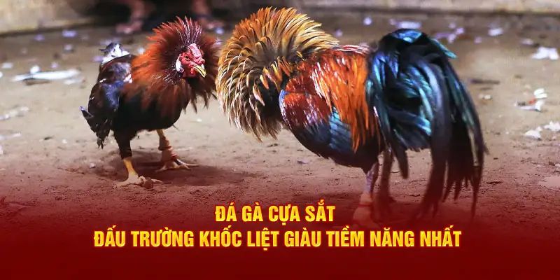 Giới thiệu chung về đá gà cựa sắt mới nhất 2024