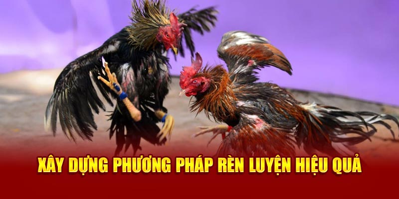 Xây dựng phương pháp rèn luyện hiệu quả